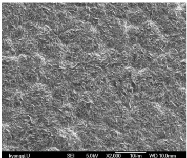 Fig. 2. SEM micrographs of porous Ni support. 