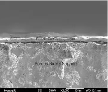 Fig. 5. SEM micrograph of annealed Pd alloy coating layer at 700 o C for 1 hr.