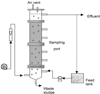 Fig. 1. Schematic diagram of the upflow BAF experimental set-up.