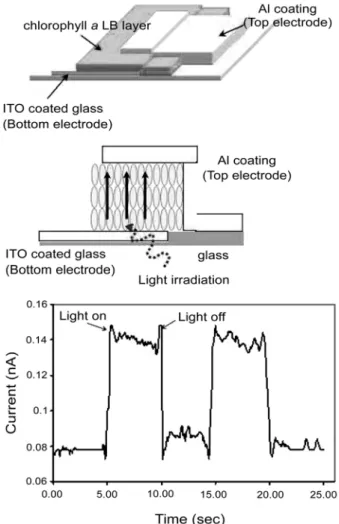 Fig. 1. Schematic structure of MIM device and Photoswitching prop- prop-erty of biomolecular device.