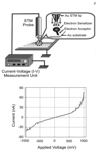 Fig. 2. Experimental set-up for I-V measurement of biodevice (a) and Rectifying property of biomolecular diode (b).