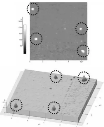 Fig. 5. Fluorescence image of hybridized DNA array. Fig. 6. AFM topography of 2×2 DNA array fabricated by STM tipusing reverse bias.