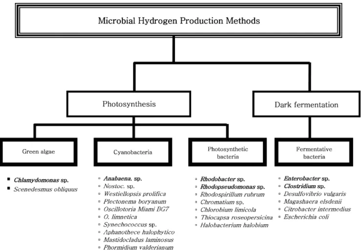 Fig. 1. Biological hydrogen production methods by various microorganisms.