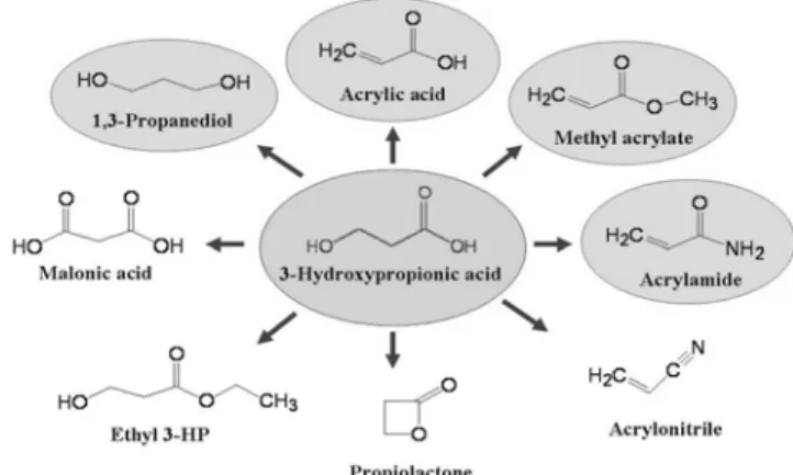 Table 2. Potential chemical building blocks identified by DOE, USA as key feedstocks in future biorefineries 
