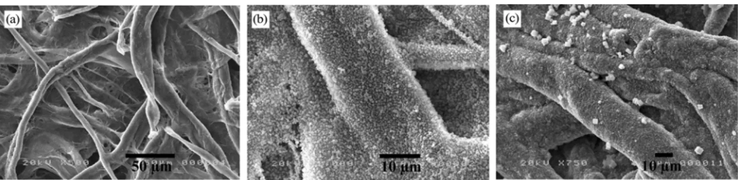Fig. 2. SEM images showing: (a) silicalite-1 crystals attached to the surface of filter paper, (b) silicalite-1 membrane on filter paper after the reac- reac-tion S-2, (c) silicalite-1 membrane on filter paper after the reacreac-tion S-4.