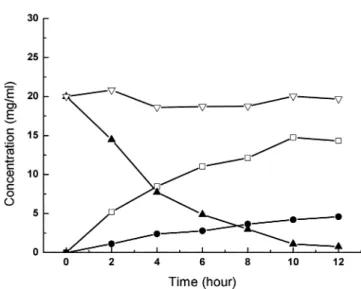 Fig. 9. Hydrolysis of sucrose in columns as a function time. 
