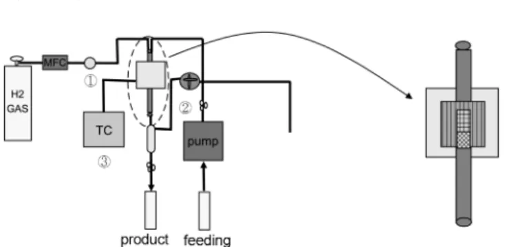 Fig. 1. Apparatus for continuous hydrogenation of MCPD.