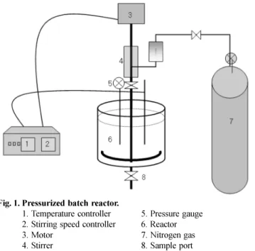 Fig. 1. Pressurized batch reactor.