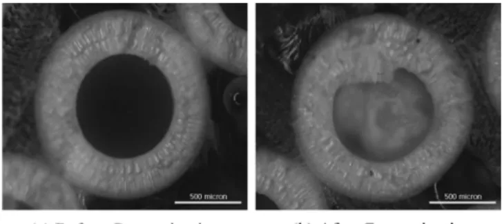 Fig. 10. COD removal and permeate flux of contaminated rinsing water with various concentrations as a function of time at pressure of 2.0 kg f /cm 2  (contaminants: NEOZOL-150S cleaner and soluble cutting oil; membrane pore size = 30 kDa).