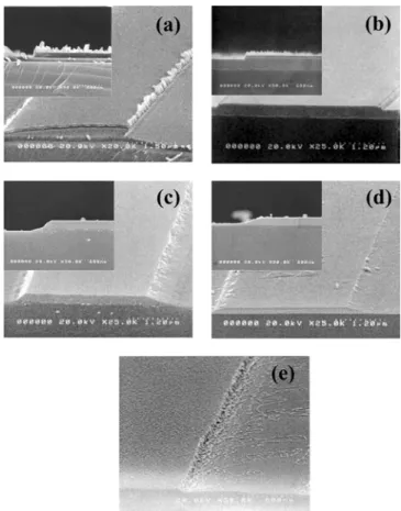 Fig. 2 는  CoZrNb  박막을  Cl 2 /Ar 과  C 2 F 6 /Ar  가스를 사용하여 식
