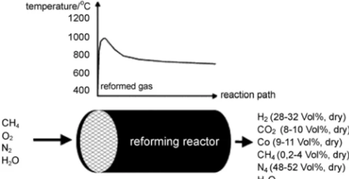 Fig. 2. Features of a steam reformer for methane[8].