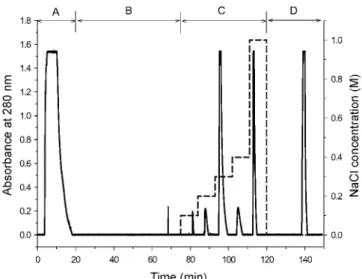 Fig. 17. Solid-phase refolding chromatogram of cell homogenate using expanded bed adsorption chromatography