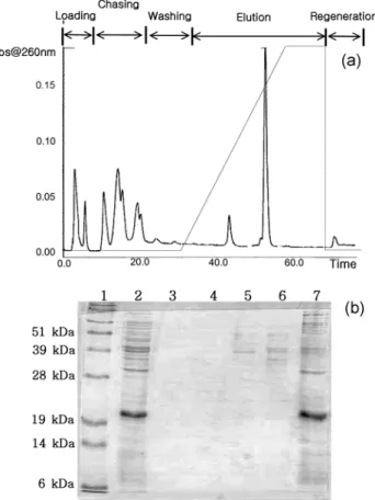 Fig. 6. Adsorption yield of E5A to mixed resin of equal volume of CM- and DEAE-Sepharose