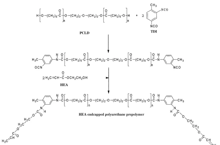 Table 1. Compositions and designations of poly(urethane-imide) Poly(urethane-imide) Compositions Designations