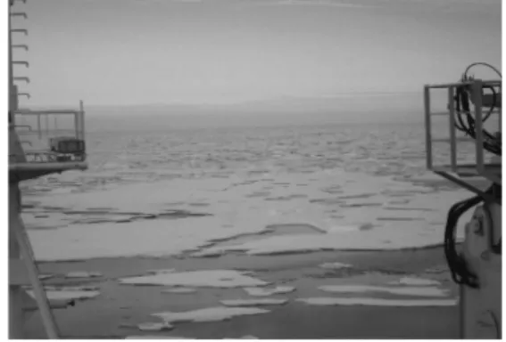 Fig. 16 Ice polygon for 3rd field test(Ice field test and research team, 2010)
