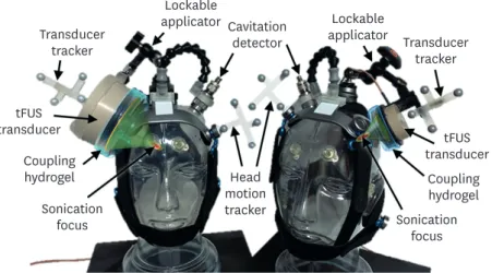 Fig. 1. Example of single-element tFUS transducer setup on a mannequin head. Left: a tFUS headgear for targeting  deep brain areas (8 cm depth)
