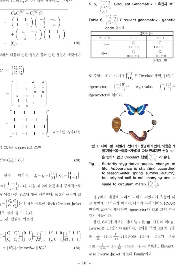 Fig. 1. Butterfly→egg→larva→pupal:  change  of  life. Appearance is changing according  to season(winter→spring→summer→autumn),  but original cell is not changing and is  same to circulant matrix    .