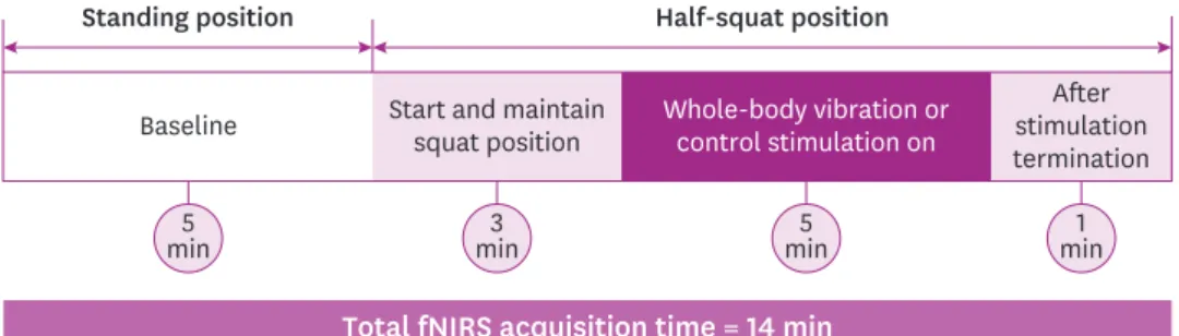 Fig. 1. Experimental protocol. Experimental design for the WBVe study. 