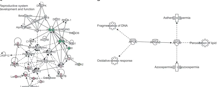 Fig. 2. (A) Top most functional enriched network, reproductive system development and function pathway with differentially expressed proteins  in seminal plasma of infertile varicocele patient