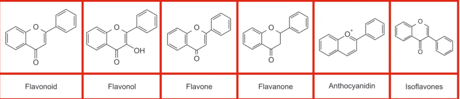 Fig. 3. Molecule structures of polyphenols (flavonoid, flavonol, flavone, flavanone, anthocyanidin, and isoflavones).