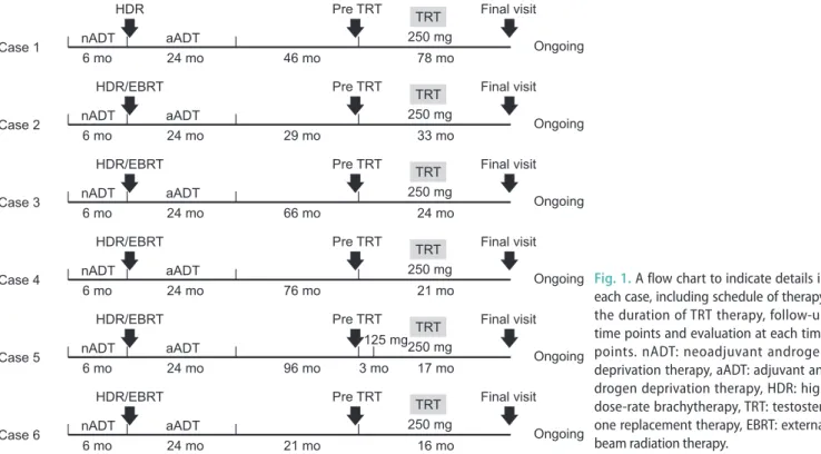 Fig. 1. A flow chart to indicate details in  each case, including schedule of therapy,  the duration of TRT therapy, follow-up  time points and evaluation at each time  points