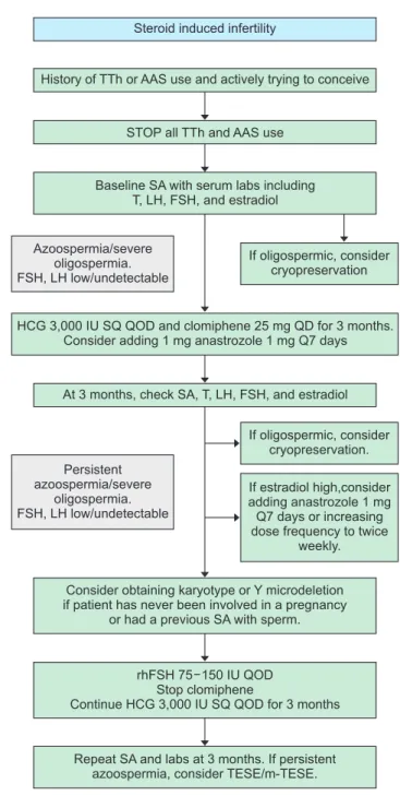 Fig. 1. Algorithm for the treatment of steroid induced infertility. TTh: 