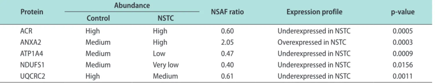 Fig. 2. Graphical representation of the expression levels of proteins involved in sperm function (NDUFS1, UQCRC2, ATP1A4, ANXA2, and ACR) in  spermatozoa samples obtained from fertile men (control) and men with non-seminoma testicular cancer (NSTC)