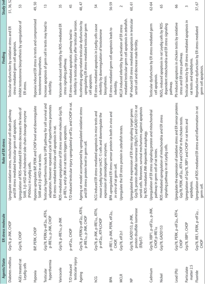 Table 1. Relevance of ER stress in reproductive infertility in male Agents/StateER stress moleculeRole of ER stressFindingStudy (ref.) Diabetes mellitusGrp78, p-JNK, CHOPUpregulate oxidative stress, mitochondrial cell death pathway  and ER stress mediated 