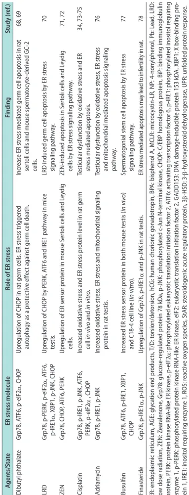 Table 1. Continued Agents/StateER stress moleculeRole of ER stressFindingStudy (ref.) Dibutyl phthalate Grp78, ATF6, p-eIF2α, CHOPUpregulation of CHOP in rat germ cells