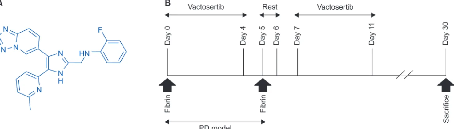 Fig. 1. The chemical structure of Vactosertib and study design. (A) Structures of Vactosertib