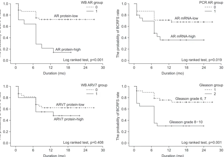 Fig. 7. Biochemical recurrence free survival (BCRFS) rate after radical prostatectomy is associated with the androgen receptor (AR) protein and  mRNA level, but not the AR variant 7 (ARV7) protein level