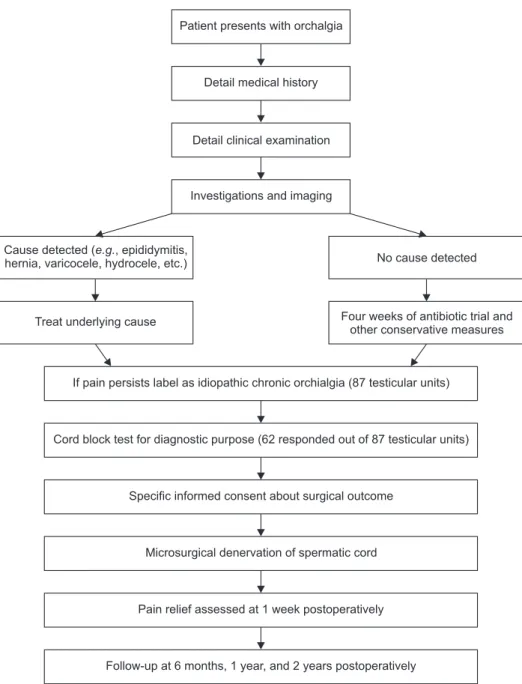 Fig. 1. Flow chart showing study protocol.