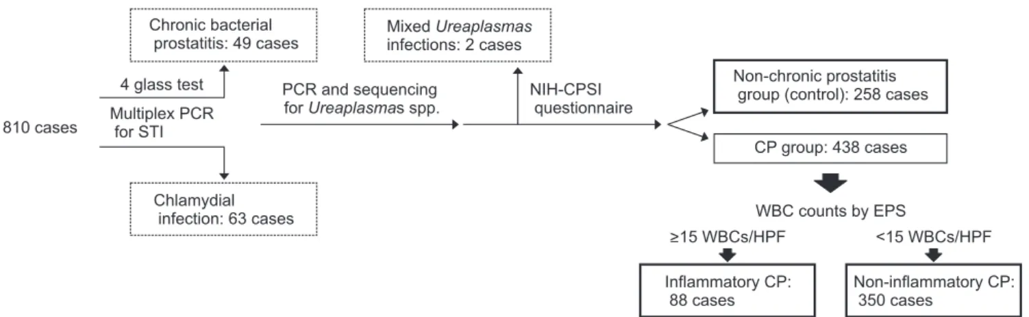 Fig. 1. Schematic drawing of the study design. A total of 810 men underwent basic chronic prostatitis (CP) evaluation tests including a lower  urinary localization test and an in house multiplex polymerase chain reaction (PCR) test for Neisseria gonorrhoea