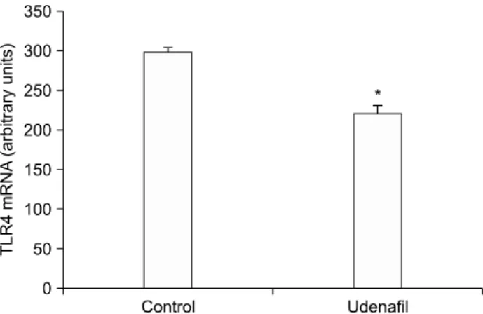 Fig. 1. The effect of udenafil on toll-like receptor 4 (TLR4) mRNA expression in the hypothalamus