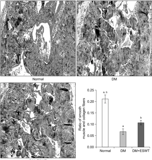 Fig. 3. Smooth muscle content  evaluation of each group by  Masson’s trichrome staining (×100).