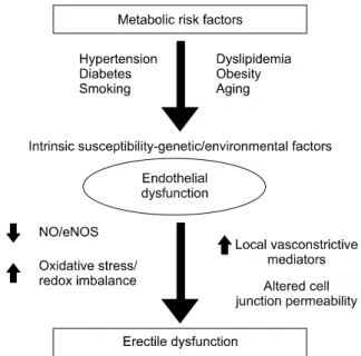 Fig. 1. The pathophysiological connection between the metabolic syndrome and erectile dysfunction.