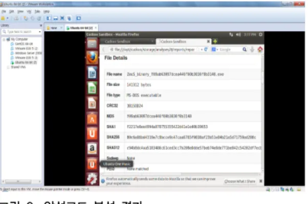 Fig. 6. Analyzing results of malware
