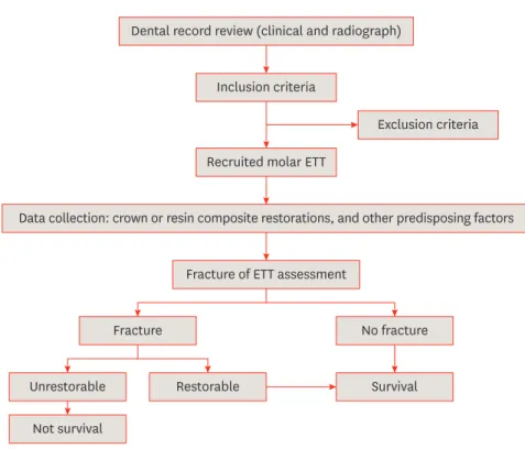 Figure 1. An overview of the methodology in this retrospective study of fracture survival in molar endoscopically  treated teeth (ETT) restored with crowns or resin composite restorations.