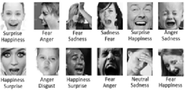 Fig.  2  Every  single  face  image  has  two  labels  below  it;  top  ones  are  showing  FER2013  labels,  while  below 
