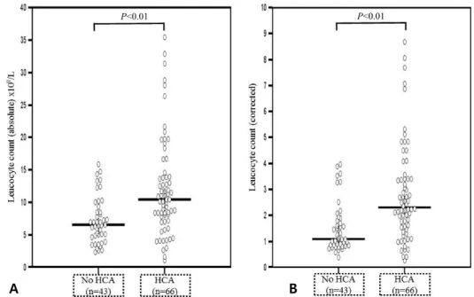 Fig. 1. Comparison of the fetal blood absolute and corrected leucocyte counts. (A) Fetuses with acute  histologic chorioamnionitis had higher median absolute leucocyte counts than those without acute  histologic chorioamnionitis (absolute leucocyte count m