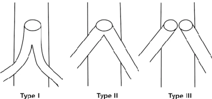 Table 1. Comparison: Five Cases of Tracheal Agenesis Reported in Korea
