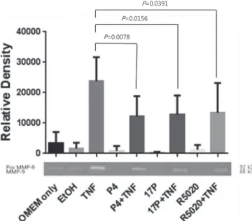 Fig. 1. Effects of progesterone and TNF-α on MMP-9 protein expression  in choriodecidual membranes