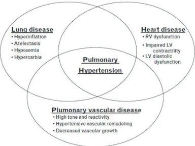 Fig. 1. Components contributing to pulmonary hypertension in bronchopul­