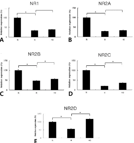 Fig. 6. Real-time PCRs of NR1 (A; N, 100±4.1; H, 34.0±1.4; HD, 39.5±1.6), NR2A (B; N, 100±4.0; H,  28.7±1.1; HD, 34.2±1.4), NR2B (C; N, 100±4.0; H, 47.5±1.9; HD, 56.1±2.2), NR2C (D; N, 100±4.2; H,  19.8±0.8; HD, 36.1±1.4), and NR2D (E; N, 100±4.1; H, 56.3±