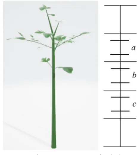 그림  2.  가지의  성장  곡선 Fig.  2  Growth  curve  of  a  branch