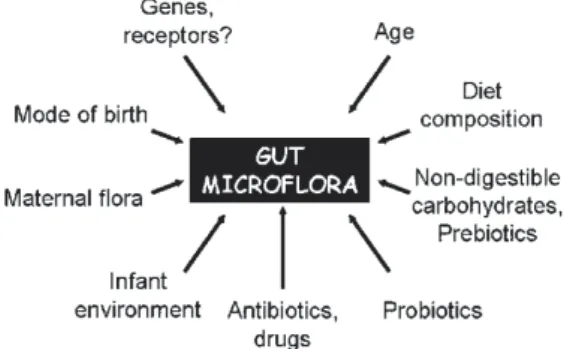Fig. 2. Potentially harmful and potentially beneficial bacteria. 