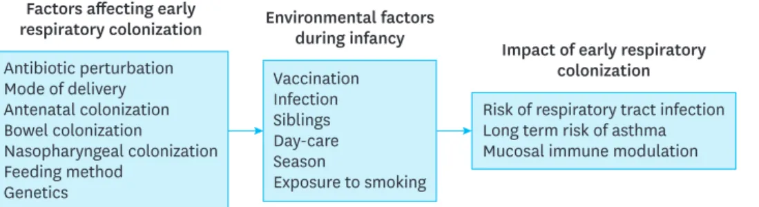 Fig. 1. Host and environmental factors that influence the respiratory microbiota.