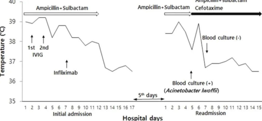 Fig. 1. Changes  in  the  body  temperature  and  the  types  of  interventions  used  during  the  hospital  course.