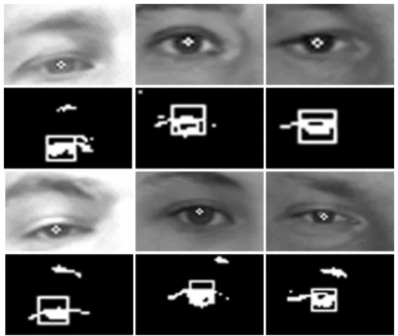 Fig. 2. Result of pupil center detection using CDF