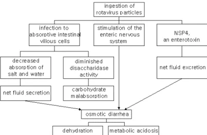 Fig. 1. Rotavirus-Structure &amp; Genome.